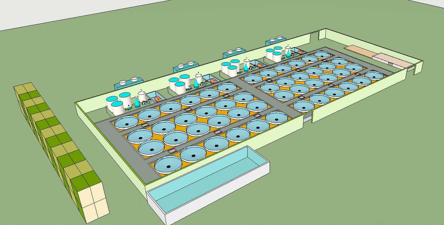 What kind of aquaculture tank is the ideal 