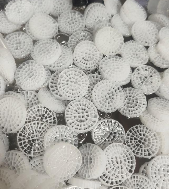 The ripening of biological fillers is the key to success of recirculating aquaculture system