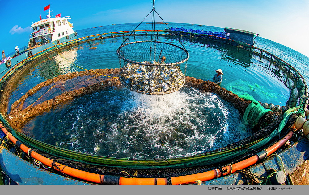 Under the strict control of environmental protection, where is the new way out of aquaculture?