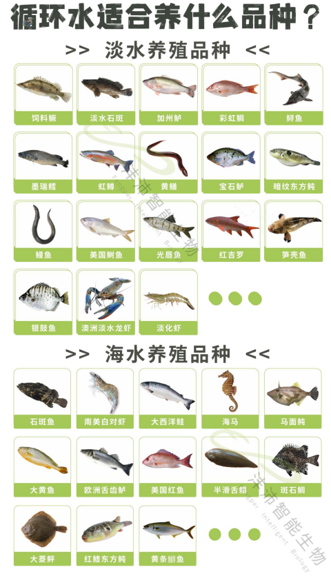 What kind of factory circulating water can make money?