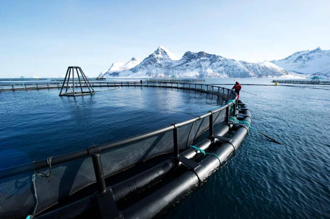 More stable production, more high yield! A detailed explanation of modern facilities for aquaculture
