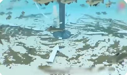 Detailed description of physical filtration technology for recirculating aquaculture system