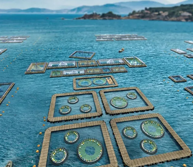 Coming! The new implementation opinions of the Ministry of Agriculture and Rural areas are released, and the fishery opportunities are full!