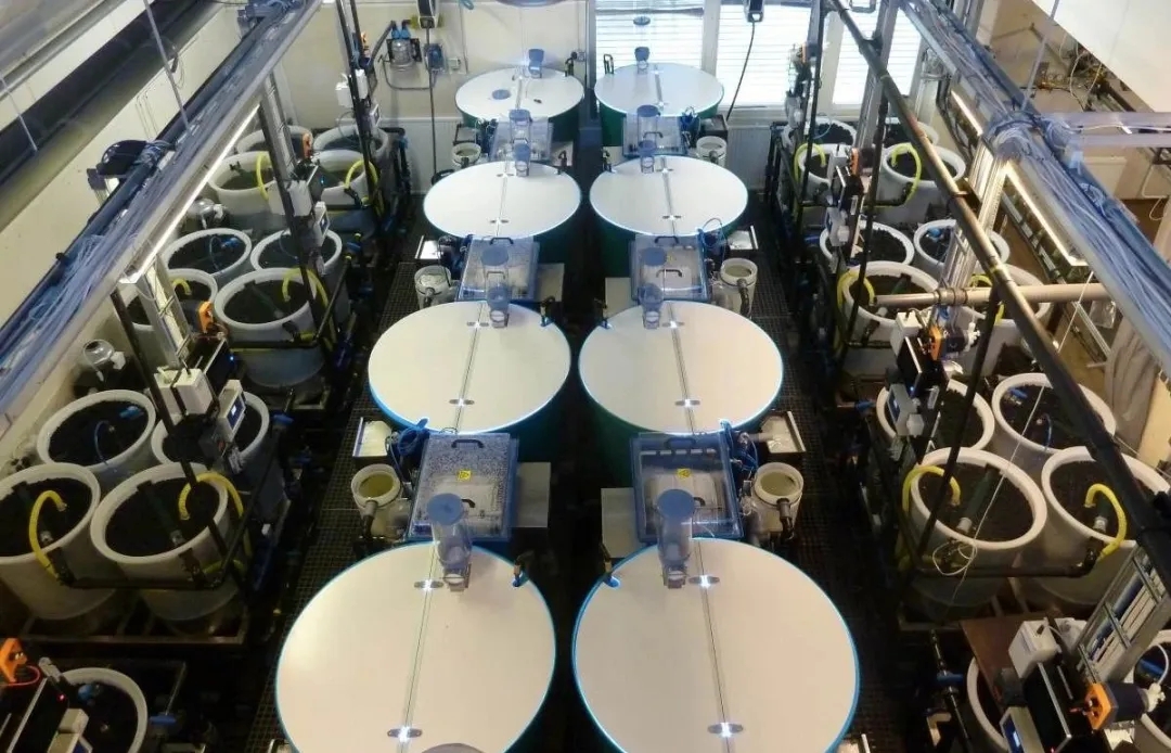 IQ tax or the future of fisheries, who is the real face of circular aquaculture?