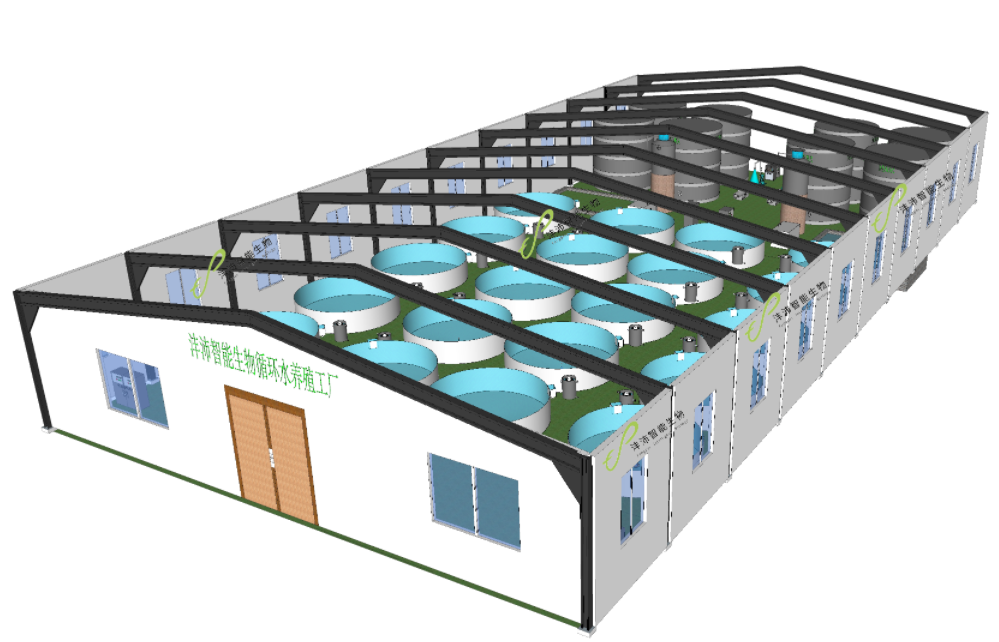 Why do 90% of factory recirculating aquaculture fail?