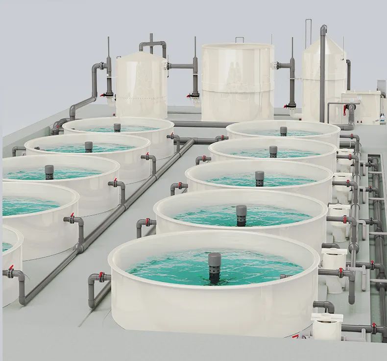 Detailed Explanation of Solid Particulate Matter Removal Process in Recirculating Aquaculture