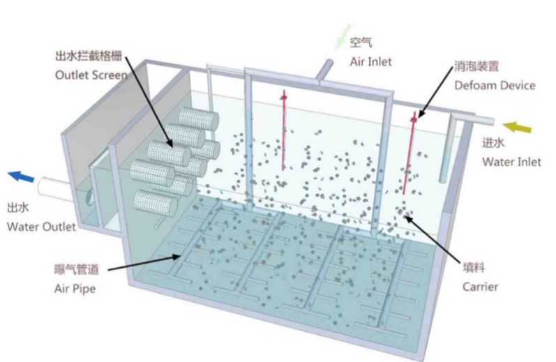 【 Science Popularization 】 Understand the Basic Principle of Biological Filters in One Article