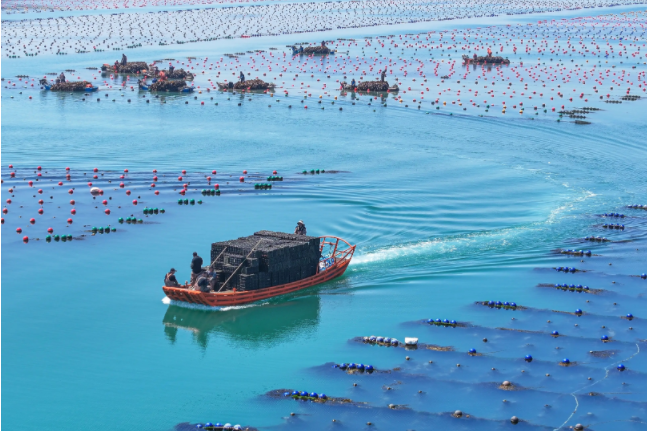 Beware! In October, these aquatic diseases are prone to concentrated outbreaks, and the national prevention and control plan has been released