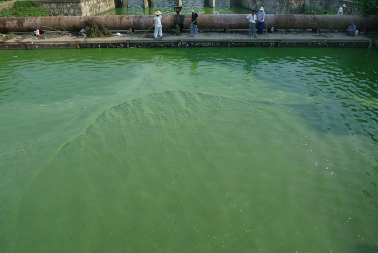 Potassium peroxymonosulfate vs. chlorine Dioxide: The 