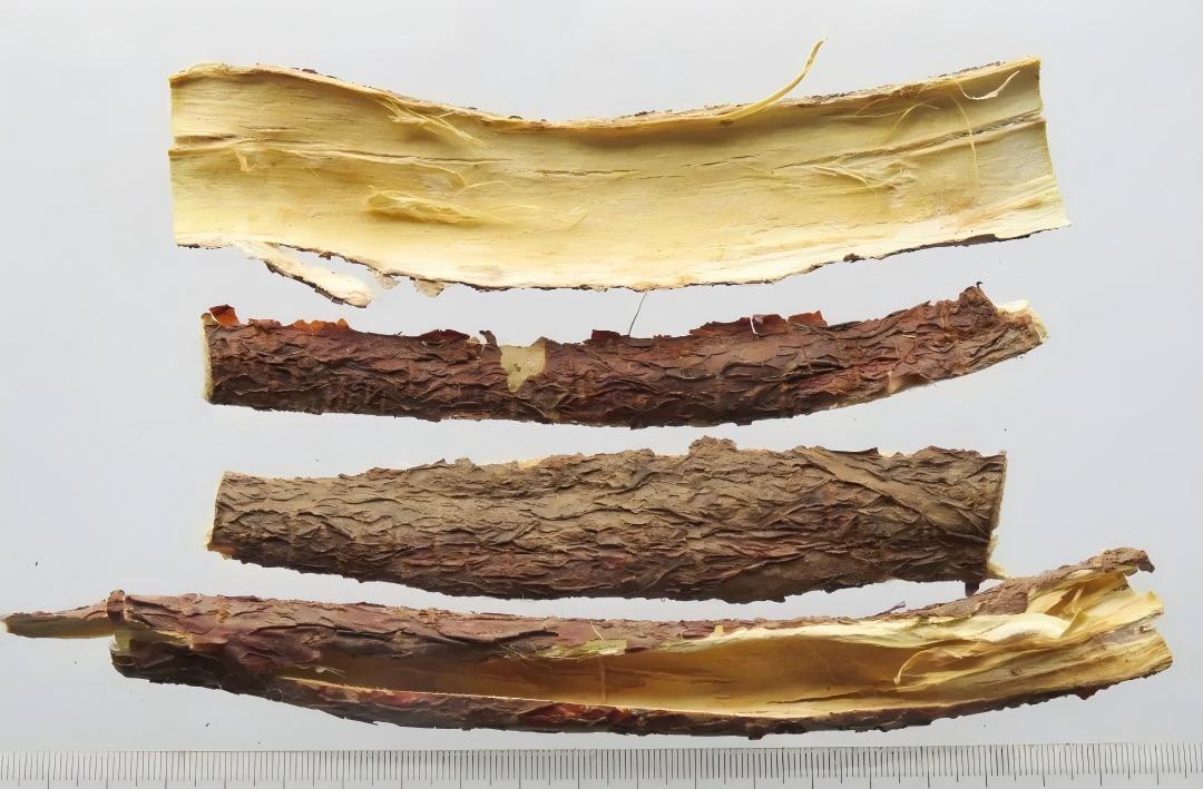 The Wonderful Uses of Chinese Herbal Medicines in Aquaculture