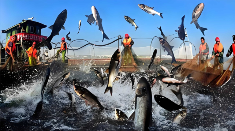 Farmers must know! These 9 water quality indicators determine the success or failure of your farming operations.