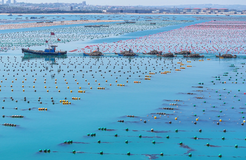 Prevent diseases in spring to ensure a successful year! 2026 Spring Aquaculture Disease Prevention and Control Technical Guide