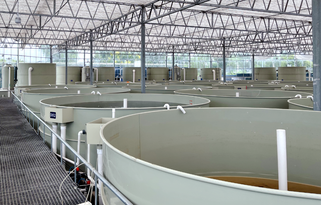 乐渔全循环智慧对虾工厂1 (1).png